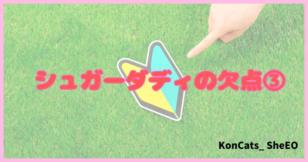 シュガーダディ パパ活アプリ パパ活サイト 欠点 ③