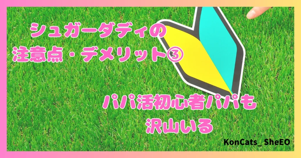 シュガーダディ　パパ活　女性　注意点　デメリット　②　パパ活初心者が多い