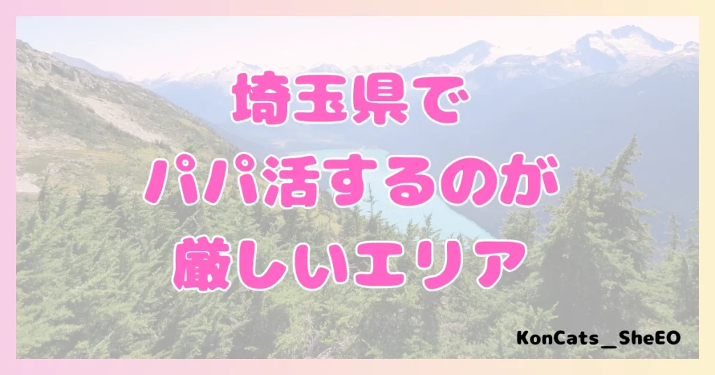 パパ活　埼玉県　女性　厳しいエリア