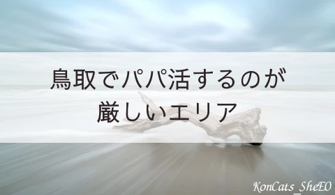 鳥取　パパ活