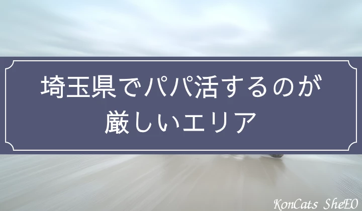 埼玉　さいたま　パパ活 