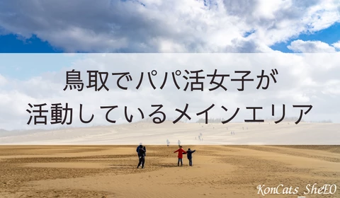 鳥取　パパ活