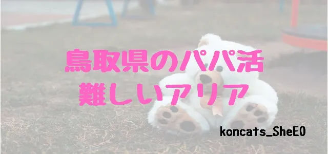 パパ活 鳥取県 女性 厳しいエリア