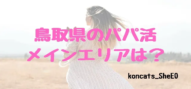 パパ活 鳥取県 女性 メインエリア