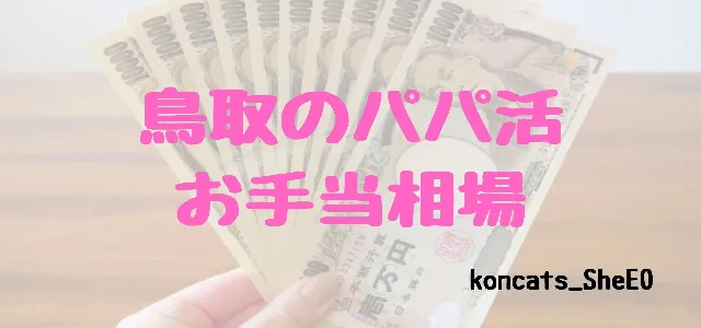 パパ活 鳥取県 女性 お手当相場