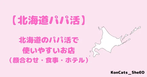 北海道　パパ活　おすすめ