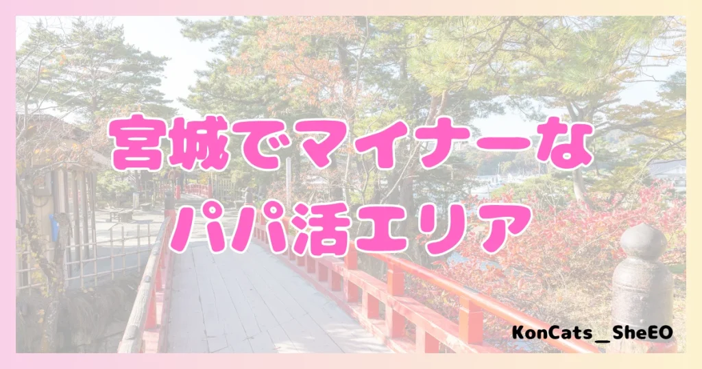 宮城　パパ活　女性　マイナーエリア