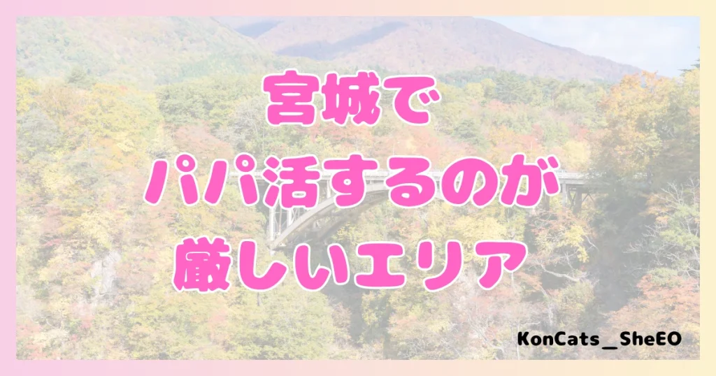 宮城　パパ活　女性　難しいエリア