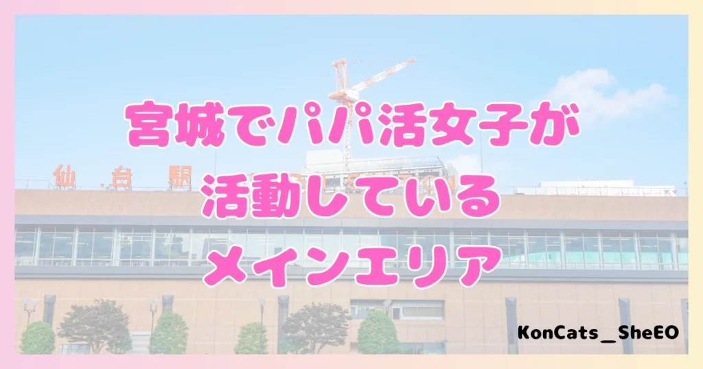 宮城　パパ活　女性　メインエリア