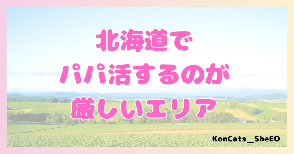 パパ活 北海道 女性 厳しいエリア