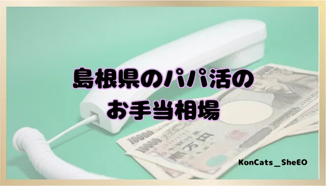 パパ活 島根県 女性 お手当相場