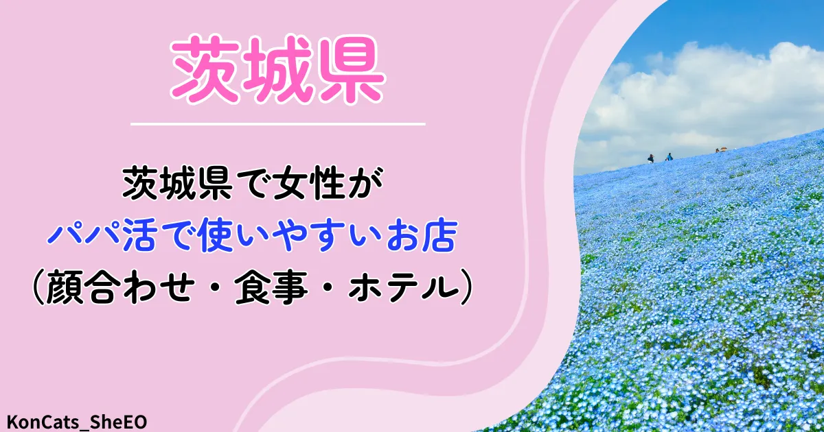 茨城　パパ活　アイキャッチ