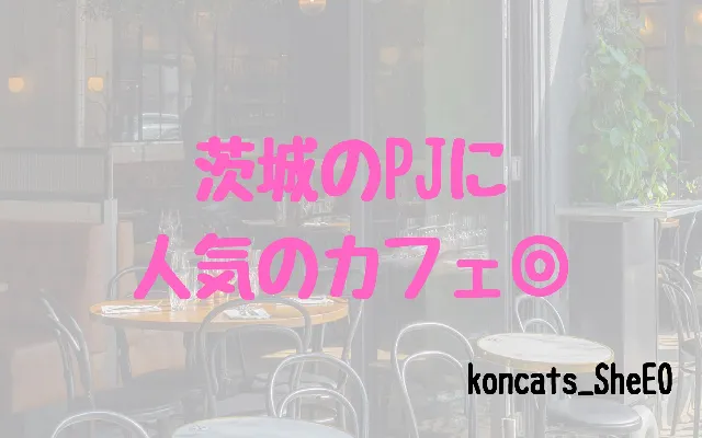 パパ活　茨城県　女性　人気のカフェ