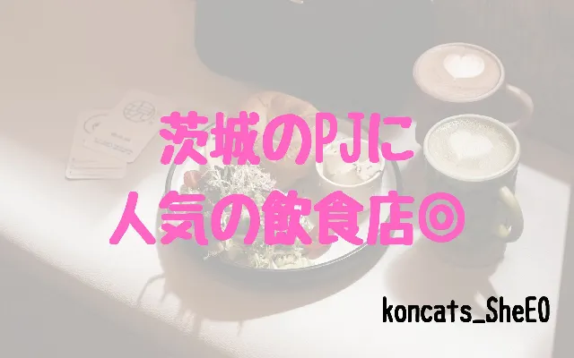 パパ活　茨城県　女性　人気の飲食店