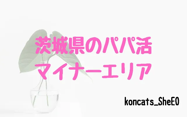 パパ活 茨城県 女性 マイナーエリア