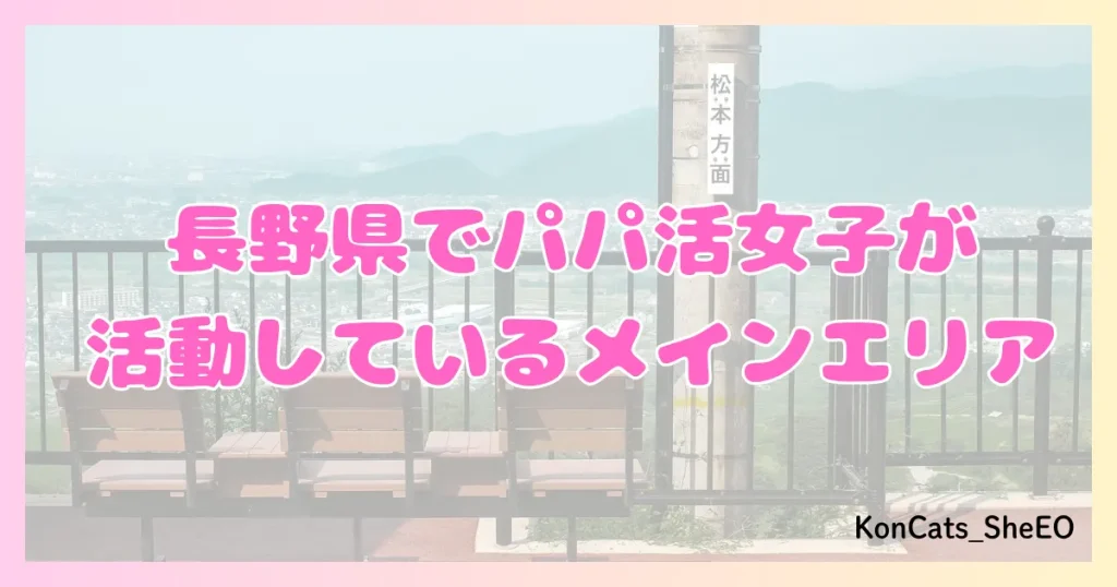 長野 パパ活 女性 活動エリア