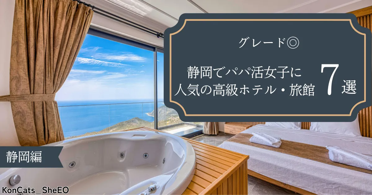 静岡県 パパ活 静岡でパパ活女子に人気の高級ホテル 旅館