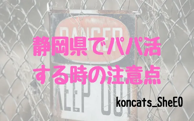 パパ活 静岡 女性 注意点