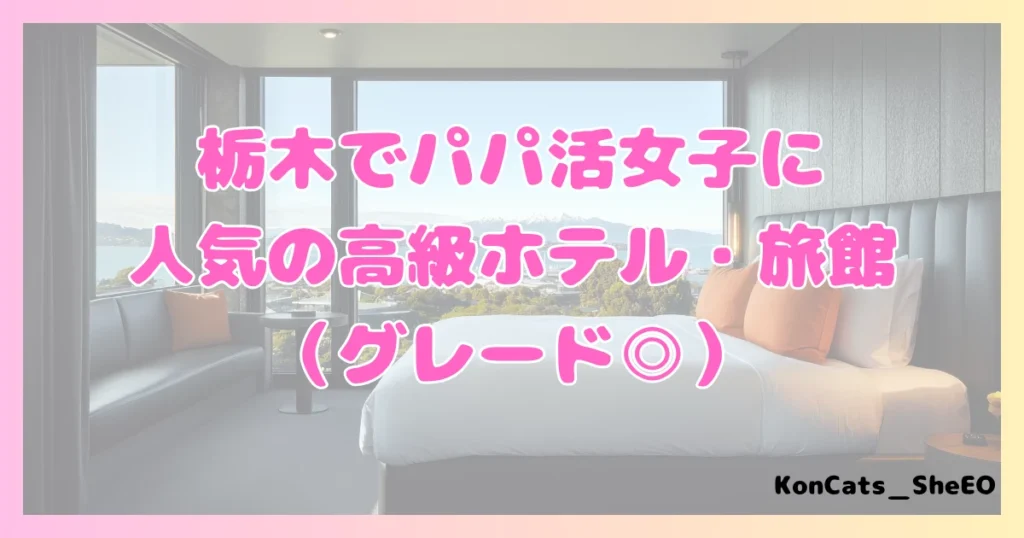 栃木県　パパ活　女性　高級ホテル・旅館