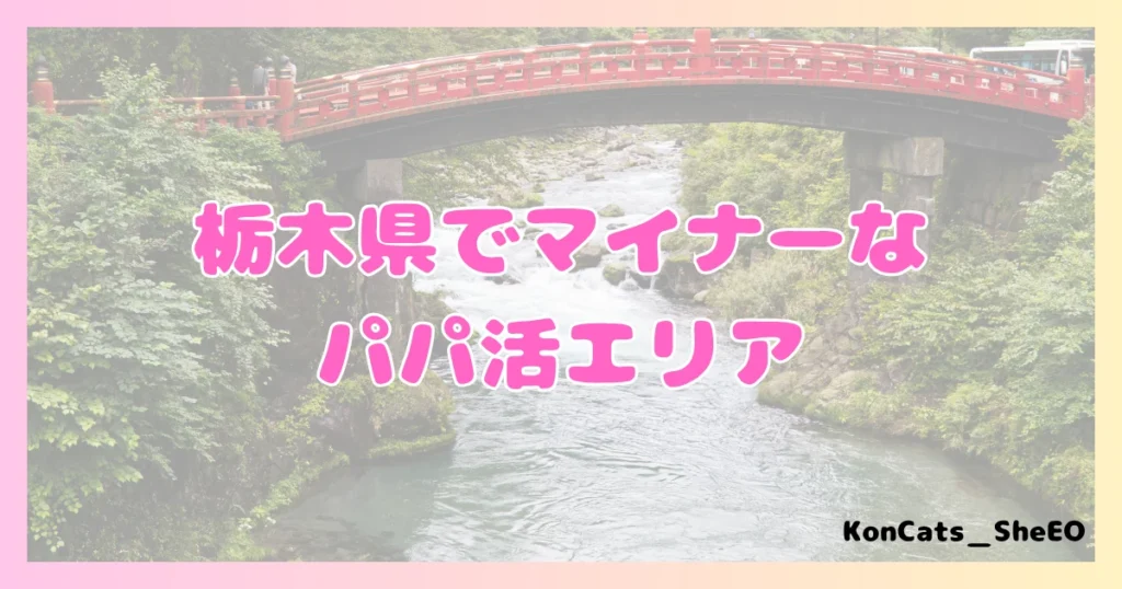 栃木県　パパ活　女性　マイナーエリア