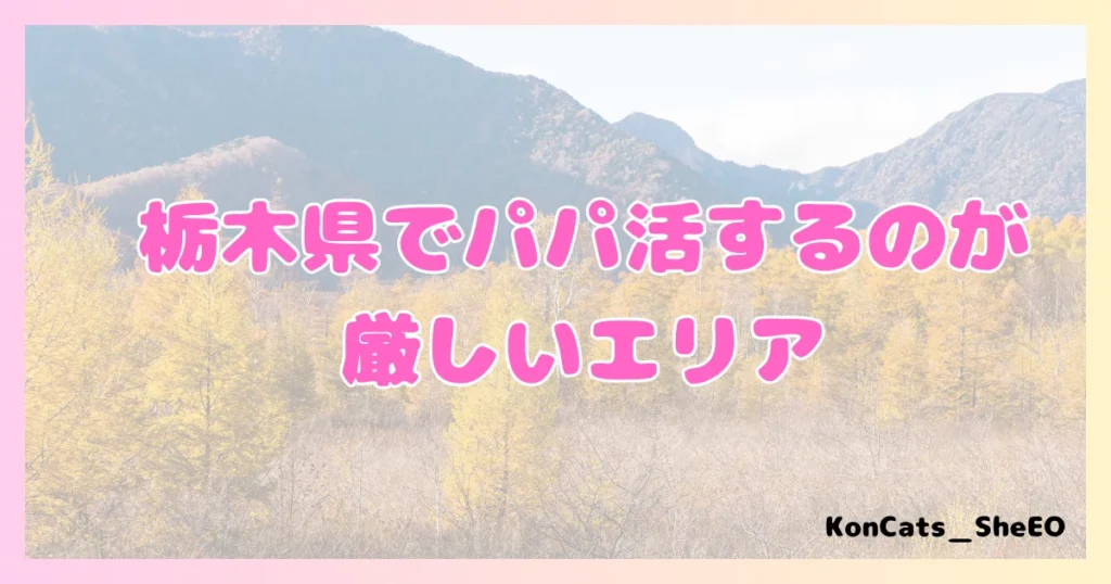 栃木県　パパ活　女性　厳しいエリア