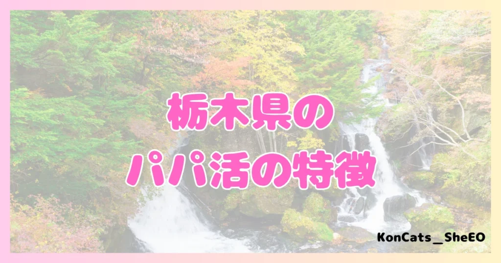 栃木県　パパ活　女性　特徴