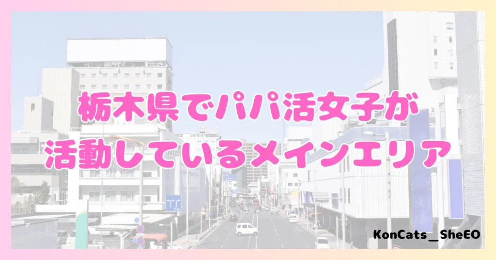 栃木県　パパ活　女性　活動エリア