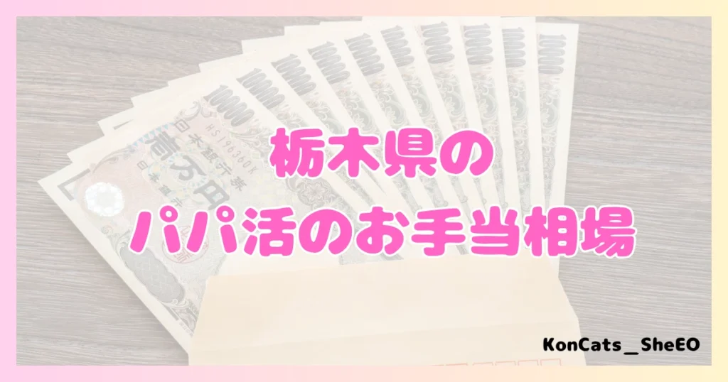 栃木県　パパ活　女性　お手当相場