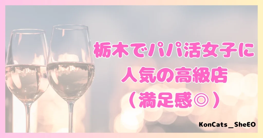 栃木県　パパ活　女性　人気の高級店