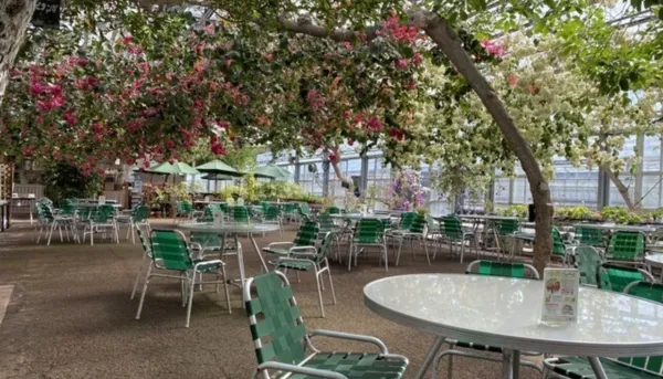 パパ活 高知県 女性 ICHIGO CAFE