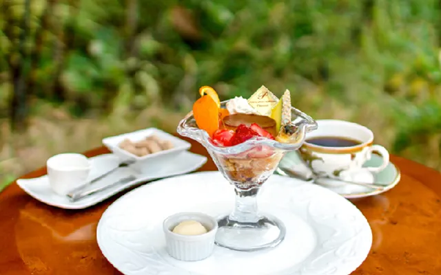 パパ活　岡山県　女性　ザ・ガーデンテラス