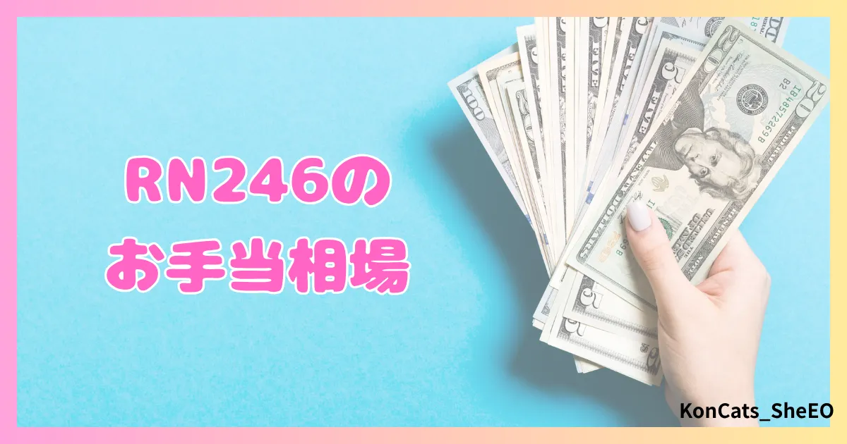 パパ活　RN246　女性　パパ活サイト　お手当相場