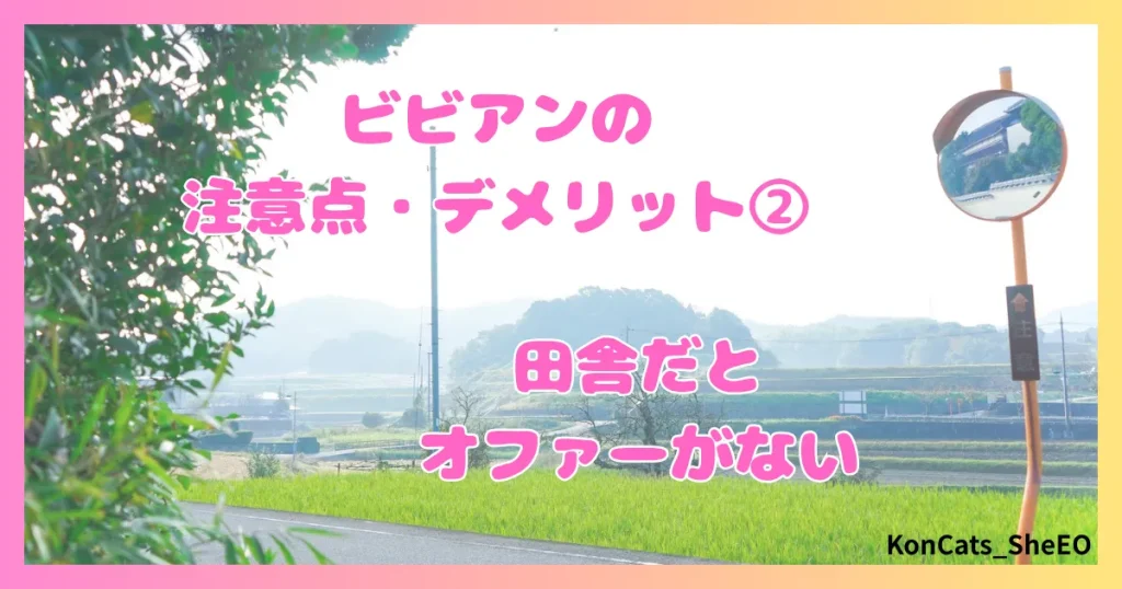 ビビアン　パパ活　女性　注意点　デメリット　②