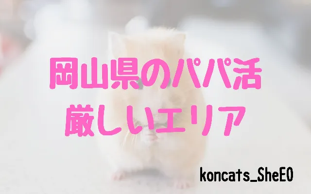 パパ活　岡山県　女性　難しいエリア