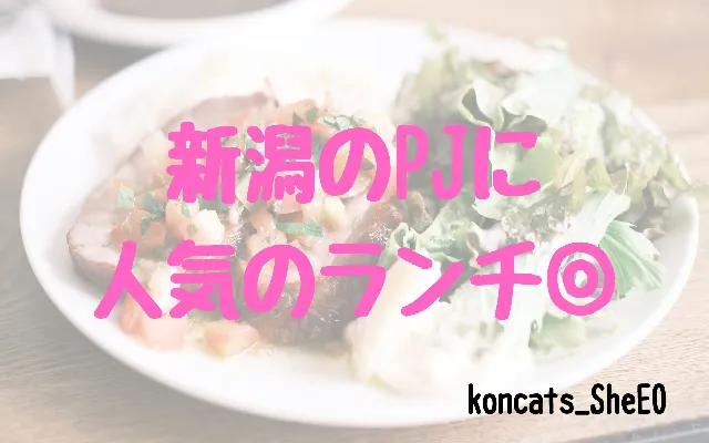 パパ活　新潟県　女性　人気のランチ