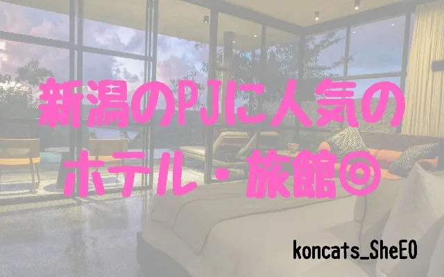 パパ活　新潟県　女性　高級ホテル・旅館