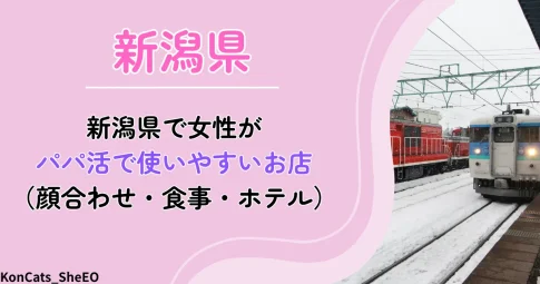 新潟県　パパ活　アイキャッチ