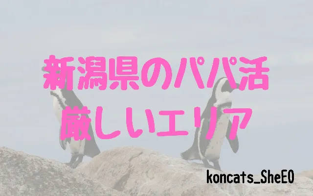パパ活　新潟県　女性　厳しいエリア