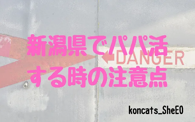 パパ活　新潟県　女性　注意点