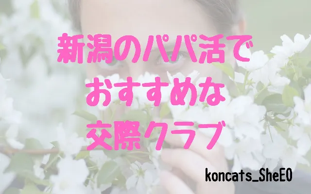 パパ活　新潟県　女性　交際クラブ