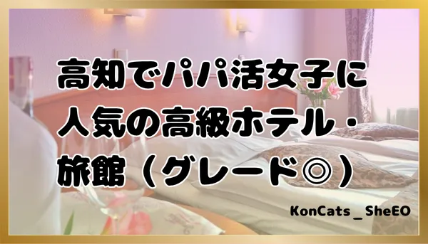 パパ活　高知県　女性　高級ホテル・旅館