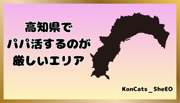 パパ活 高知県 女性 厳しいエリア