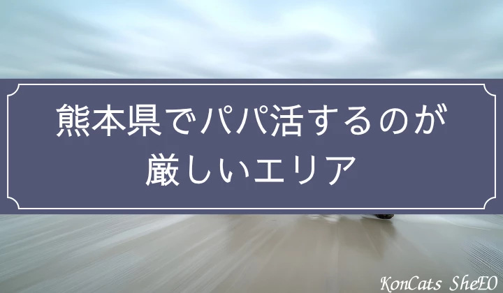 熊本　パパ活　厳しいエリア