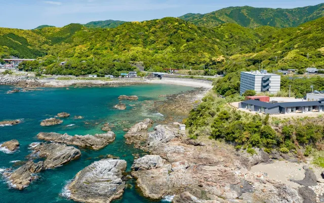 和歌山県 パパ活 女性 TUZUMI WAKAYAMA SUSAMI