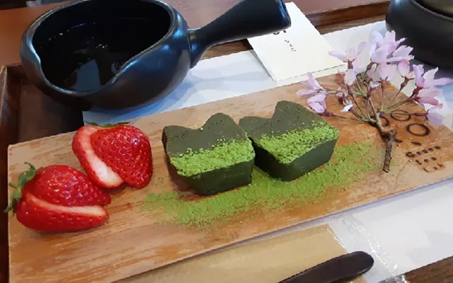 パパ活 熊本県 女性 Greentea.Lab