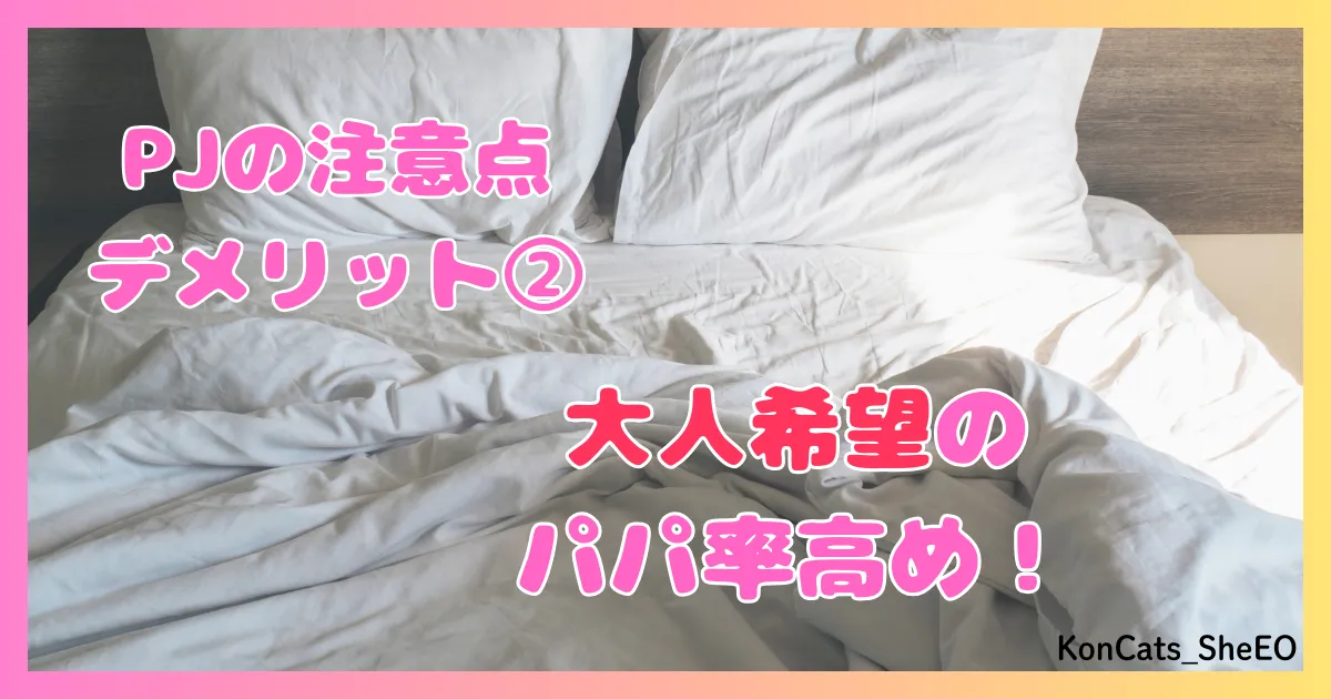 PJ パパ活アプリ 女性 欠点 注意点 デメリット ② 大人希望