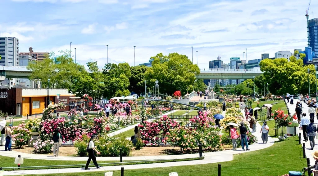 大阪　パパ活　中之島公園