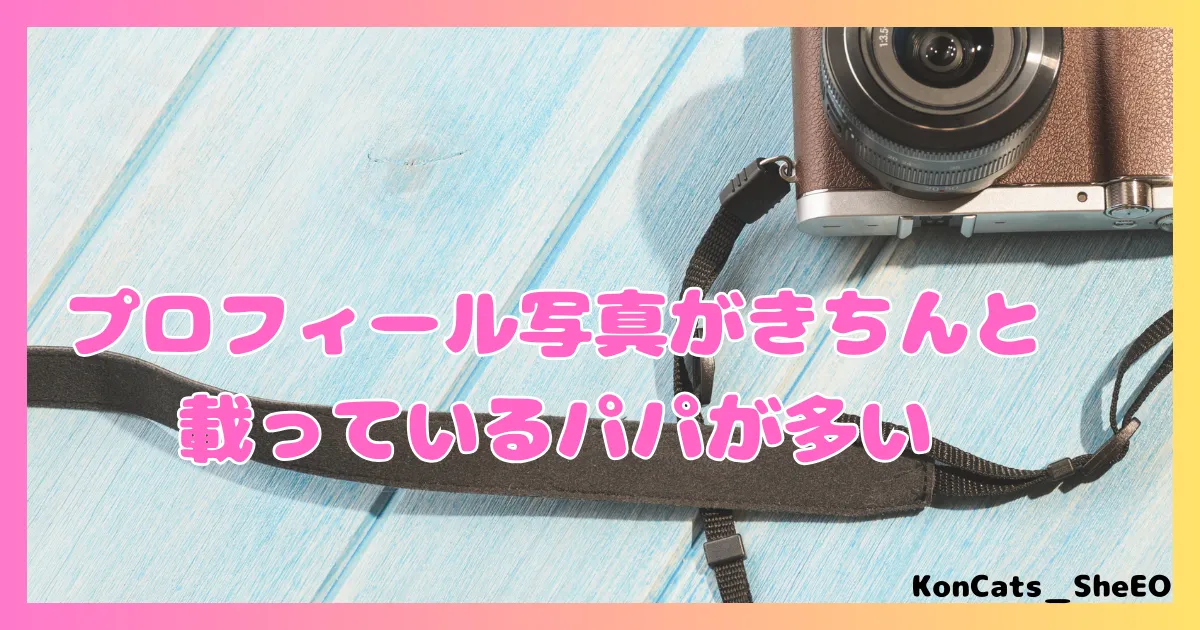 ペイターズ　パパ活アプリ　女性 　男性の年齢層　特徴　プロフィール写真あり