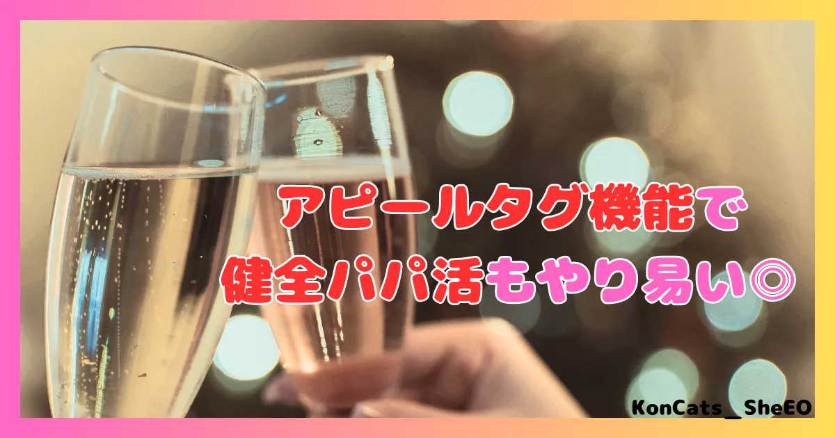 ペイターズ　パパ活アプリ　女性 　男性の年齢層　特徴　アピールタグ　健全