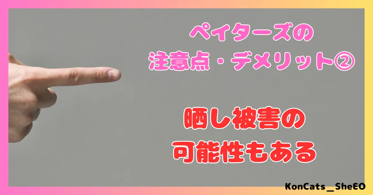 ペイターズ　パパ活アプリ　女性 　注意点　デメリット　②　晒し被害